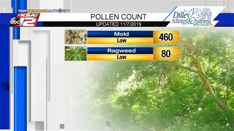 Saturday&x27;s Pollen Count We&x27;re still dealing with a high mold count from Thursday&x27;s rain. . Ksat pollen count